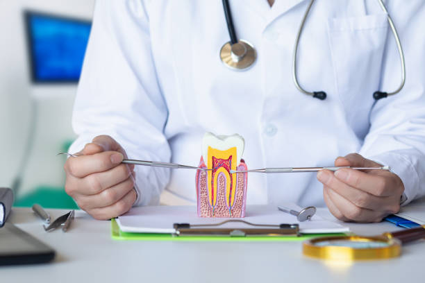 Best Dentist for Tooth Abscess  in Ligh, NE